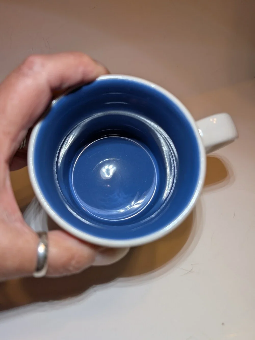 Starbucks Los Cabos Blue & White Fish Graphic Mug 2011